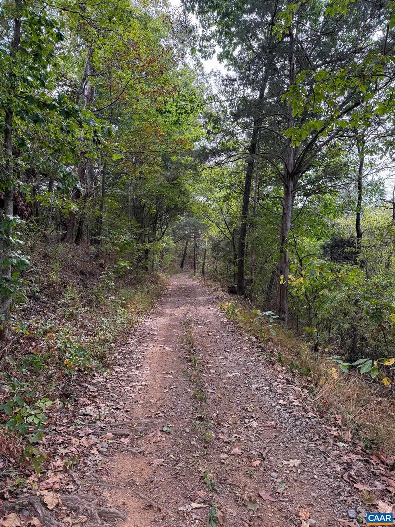 575 ARCADIAN WAY, ORANGE, Virginia 22960, 5 Bedrooms Bedrooms, ,4 BathroomsBathrooms,Farm,For Sale,575 ARCADIAN WAY,670256 MLS # 670256