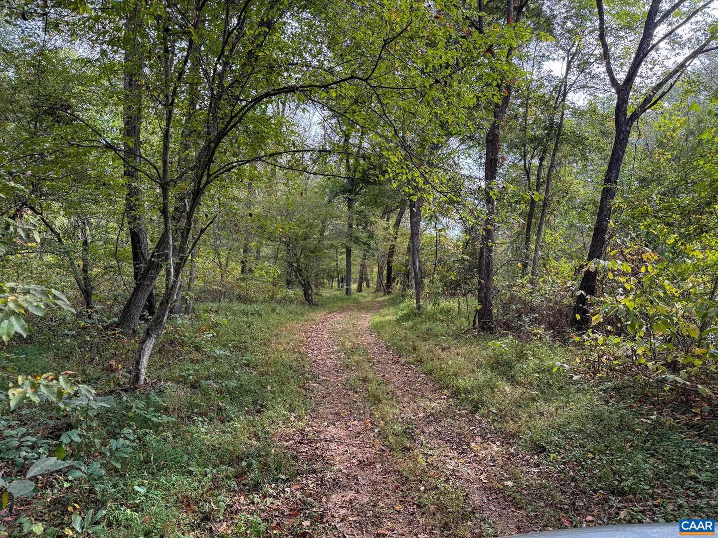 575 ARCADIAN WAY, ORANGE, Virginia 22960, 5 Bedrooms Bedrooms, ,4 BathroomsBathrooms,Farm,For Sale,575 ARCADIAN WAY,670256 MLS # 670256