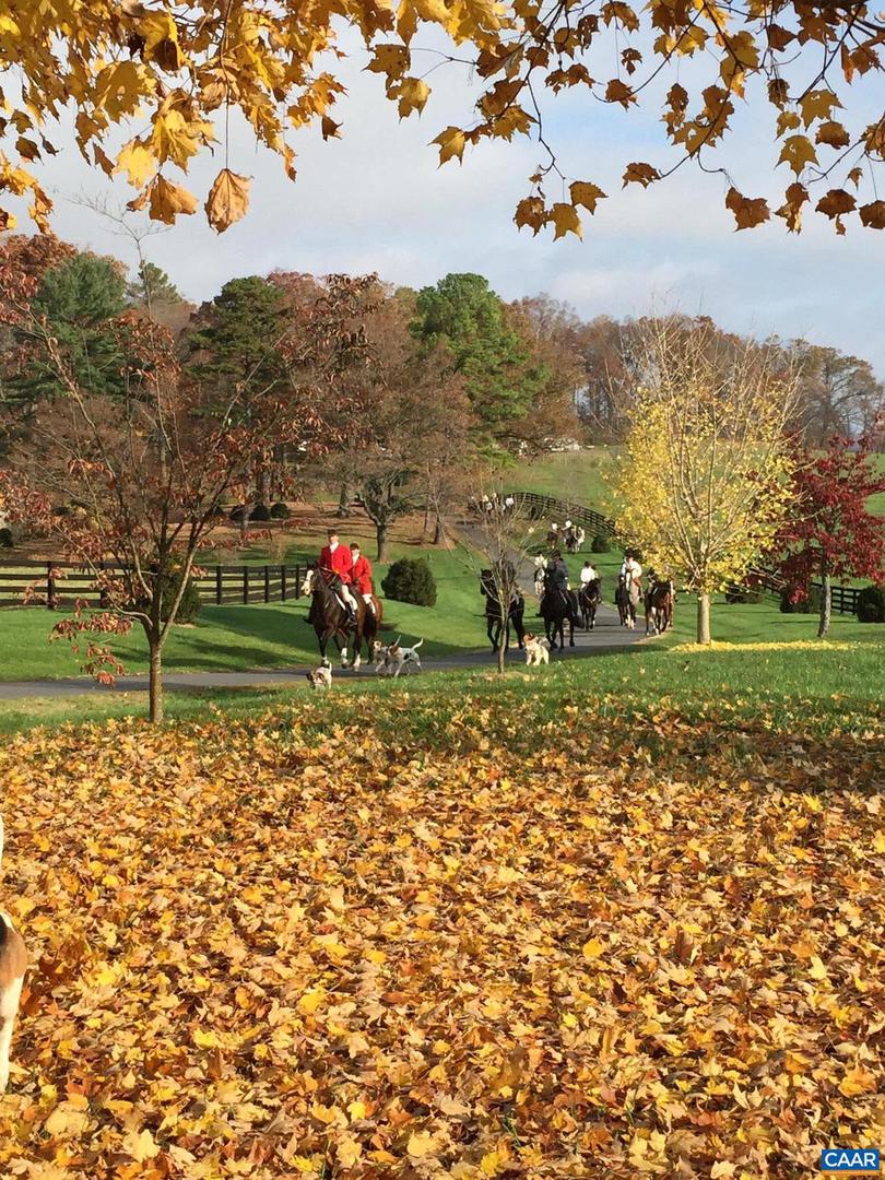 575 ARCADIAN WAY, ORANGE, Virginia 22960, 5 Bedrooms Bedrooms, ,4 BathroomsBathrooms,Farm,For Sale,575 ARCADIAN WAY,670256 MLS # 670256