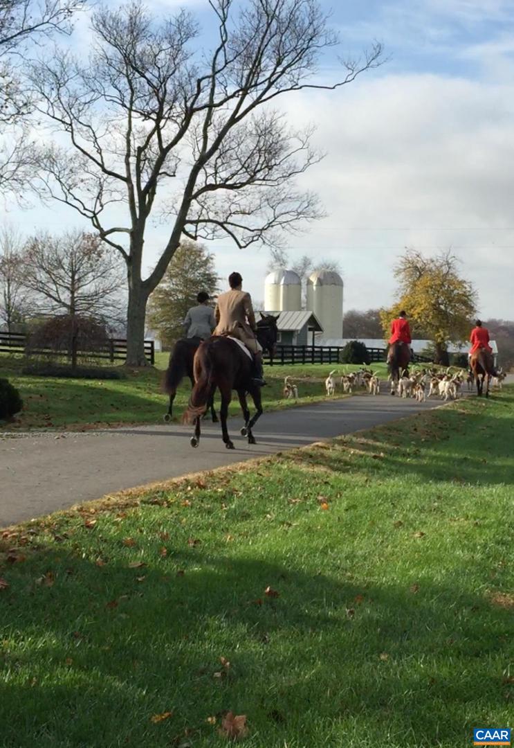 575 ARCADIAN WAY, ORANGE, Virginia 22960, 5 Bedrooms Bedrooms, ,4 BathroomsBathrooms,Farm,For Sale,575 ARCADIAN WAY,670256 MLS # 670256