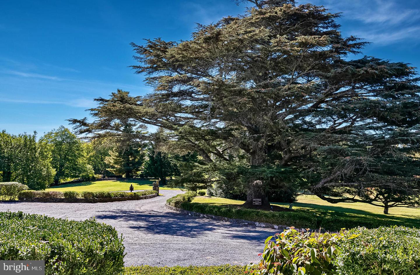 1610 DELAPLANE GRADE RD, UPPERVILLE, Virginia 20184, 4 Bedrooms Bedrooms, ,3 BathroomsBathrooms,Residential,For Sale,1610 DELAPLANE GRADE RD,VAFQ2019532 MLS # VAFQ2019532