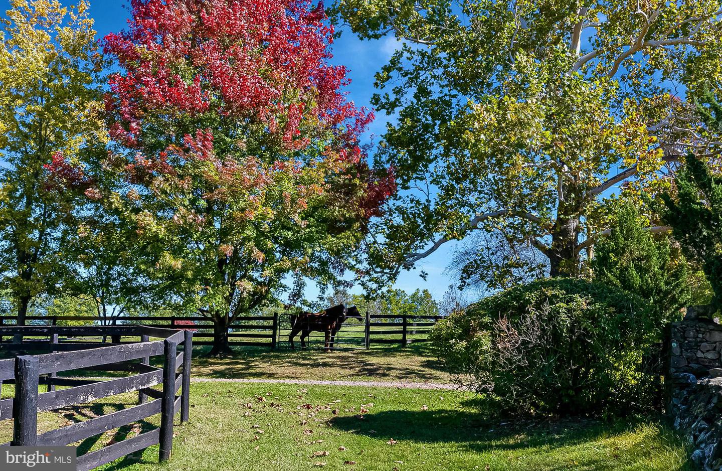 1610 DELAPLANE GRADE RD, UPPERVILLE, Virginia 20184, 4 Bedrooms Bedrooms, ,3 BathroomsBathrooms,Residential,For Sale,1610 DELAPLANE GRADE RD,VAFQ2019532 MLS # VAFQ2019532
