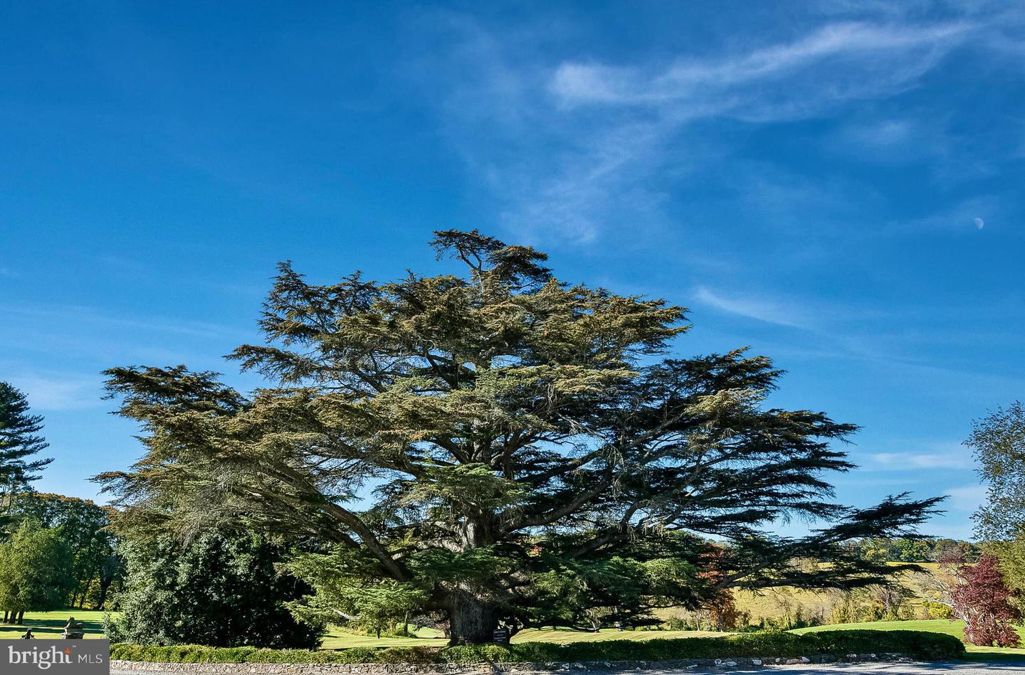 1610 DELAPLANE GRADE RD, UPPERVILLE, Virginia 20184, 4 Bedrooms Bedrooms, ,3 BathroomsBathrooms,Residential,For Sale,1610 DELAPLANE GRADE RD,VAFQ2019532 MLS # VAFQ2019532