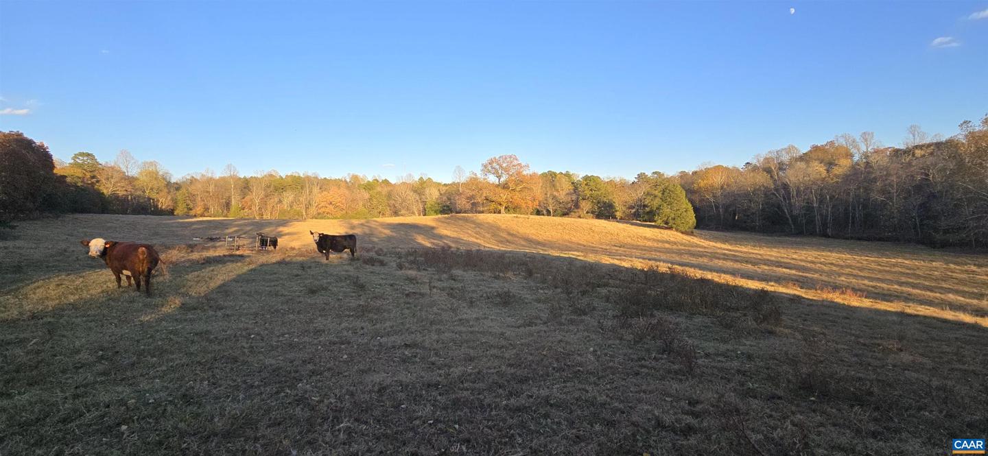 7634 SEMINOLE TRL, RUCKERSVILLE, Virginia 22968, ,Farm,For Sale,7634 SEMINOLE TRL,670683 MLS # 670683