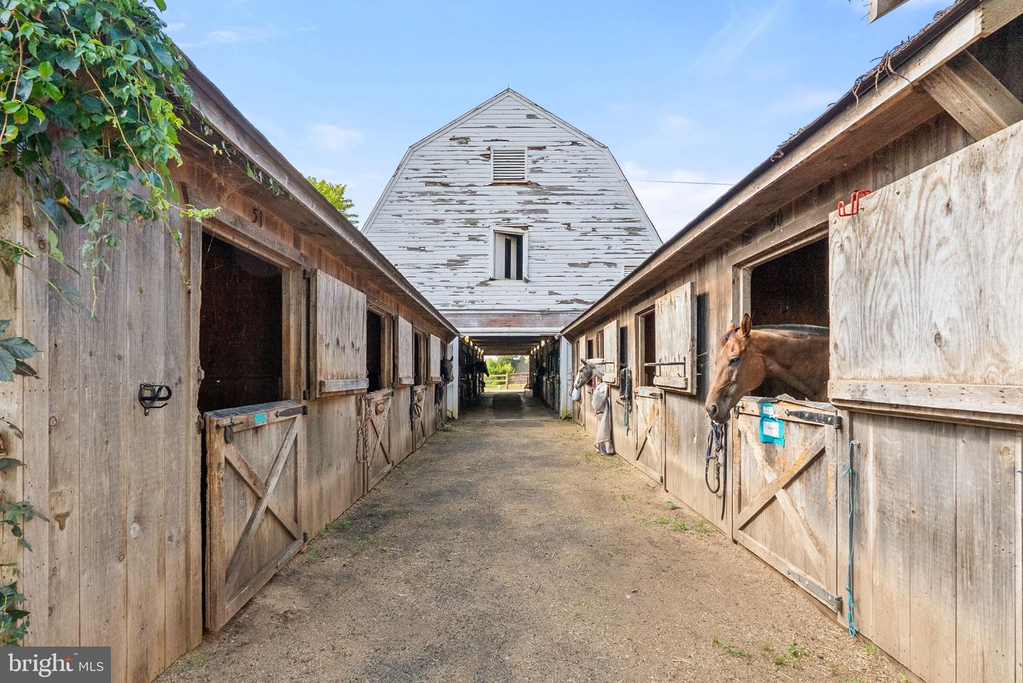 40332 COURTLAND FARM LN, ALDIE, Virginia 20105, 3 Bedrooms Bedrooms, ,2 BathroomsBathrooms,Farm,For Sale,40332 COURTLAND FARM LN,VALO2104646 MLS # VALO2104646