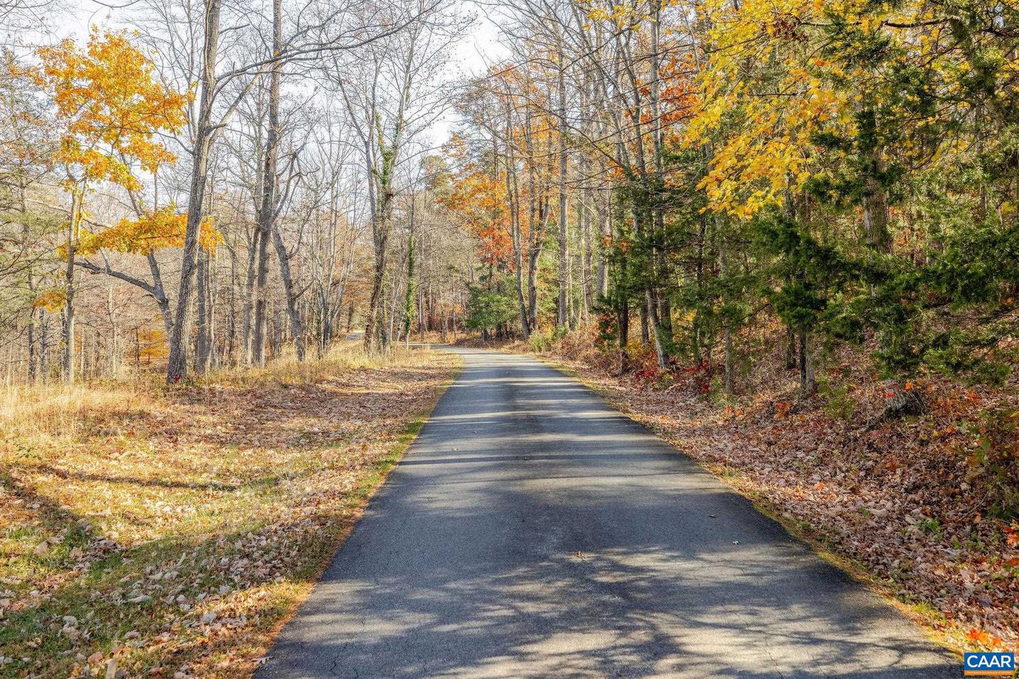 3260 EARLYSVILLE RD, EARLYSVILLE, Virginia 22936, 6 Bedrooms Bedrooms, ,4 BathroomsBathrooms,Farm,For Sale,3260 EARLYSVILLE RD,670948 MLS # 670948