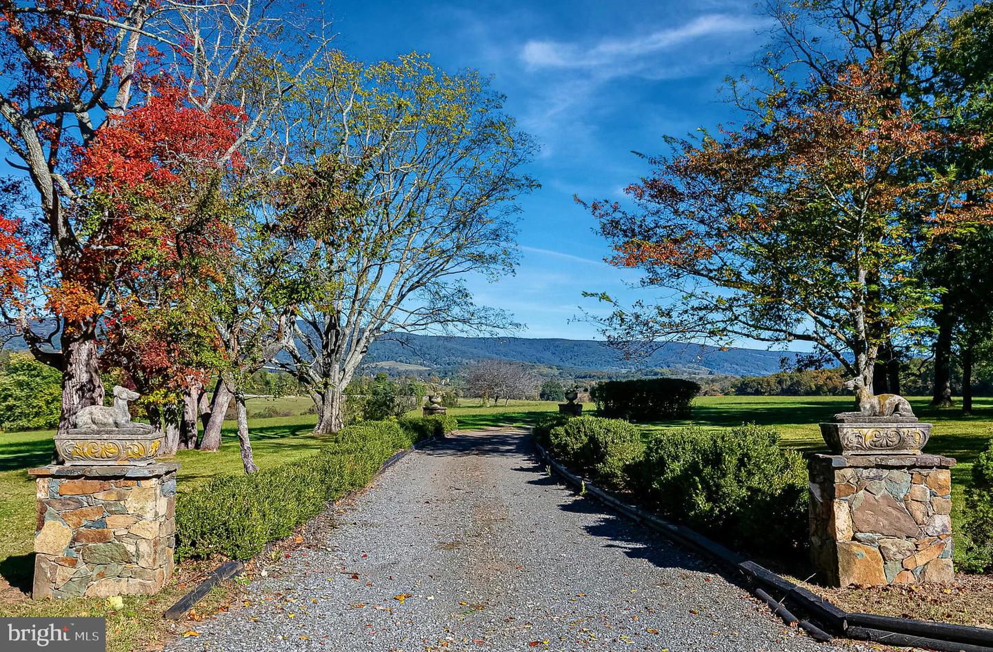 1610 DELAPLANE GRADE RD, UPPERVILLE, Virginia 20184, 4 Bedrooms Bedrooms, ,3 BathroomsBathrooms,Farm,For Sale,1610 DELAPLANE GRADE RD,VAFQ2019810 MLS # VAFQ2019810