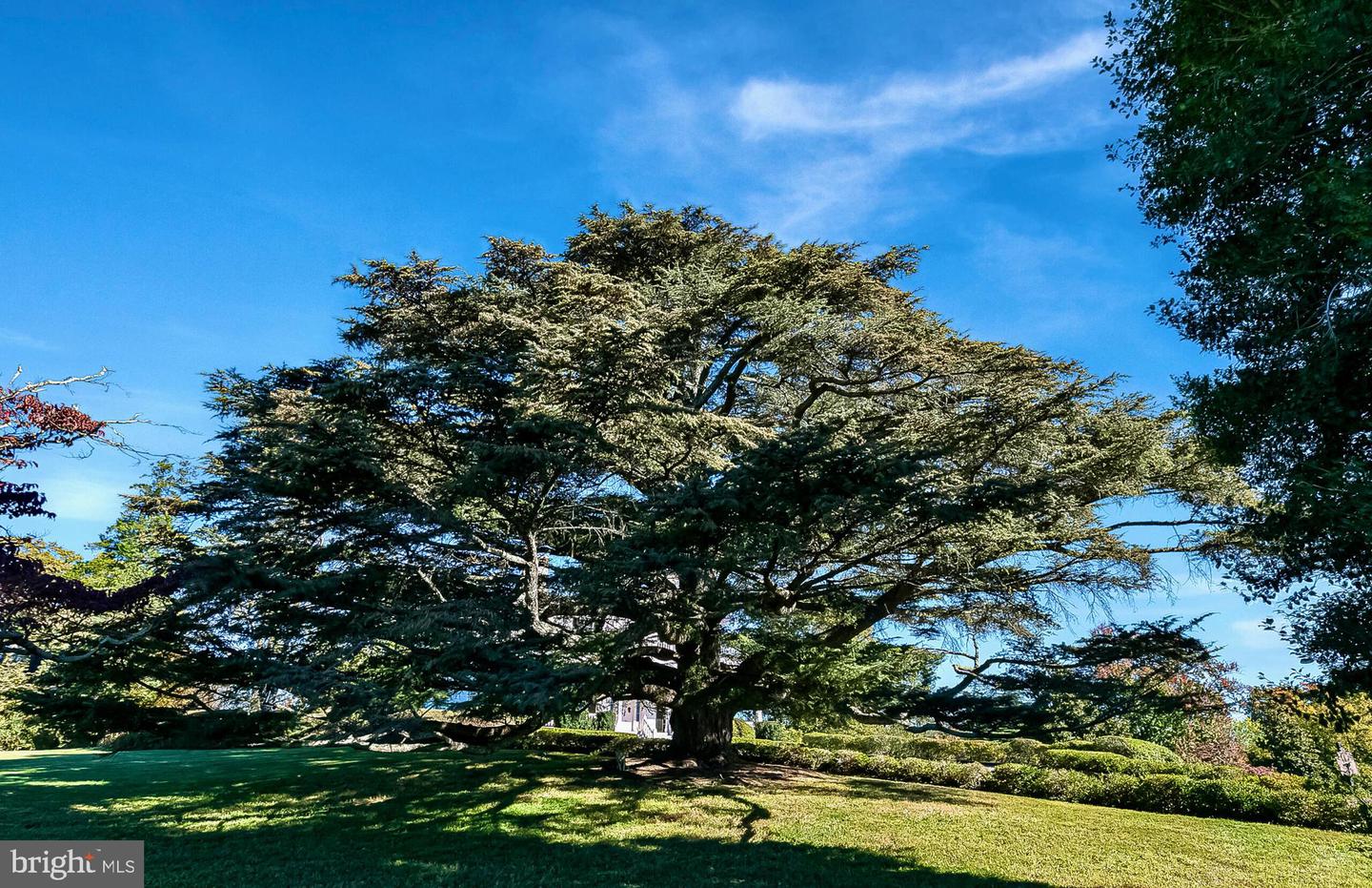 1610 DELAPLANE GRADE RD, UPPERVILLE, Virginia 20184, 4 Bedrooms Bedrooms, ,3 BathroomsBathrooms,Farm,For Sale,1610 DELAPLANE GRADE RD,VAFQ2019810 MLS # VAFQ2019810